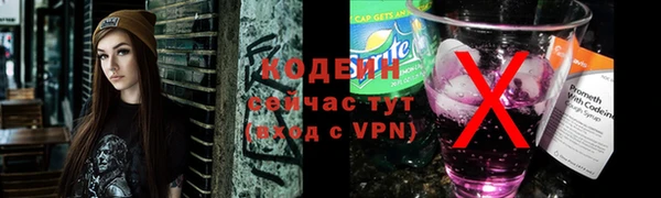 дурь Арсеньев