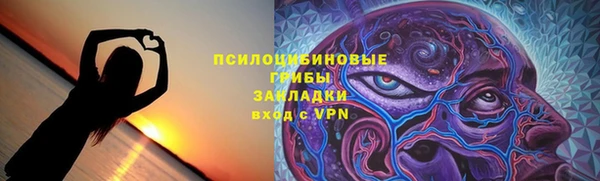 дурь Арсеньев